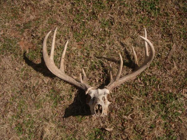 Gyp Hills Outfitters